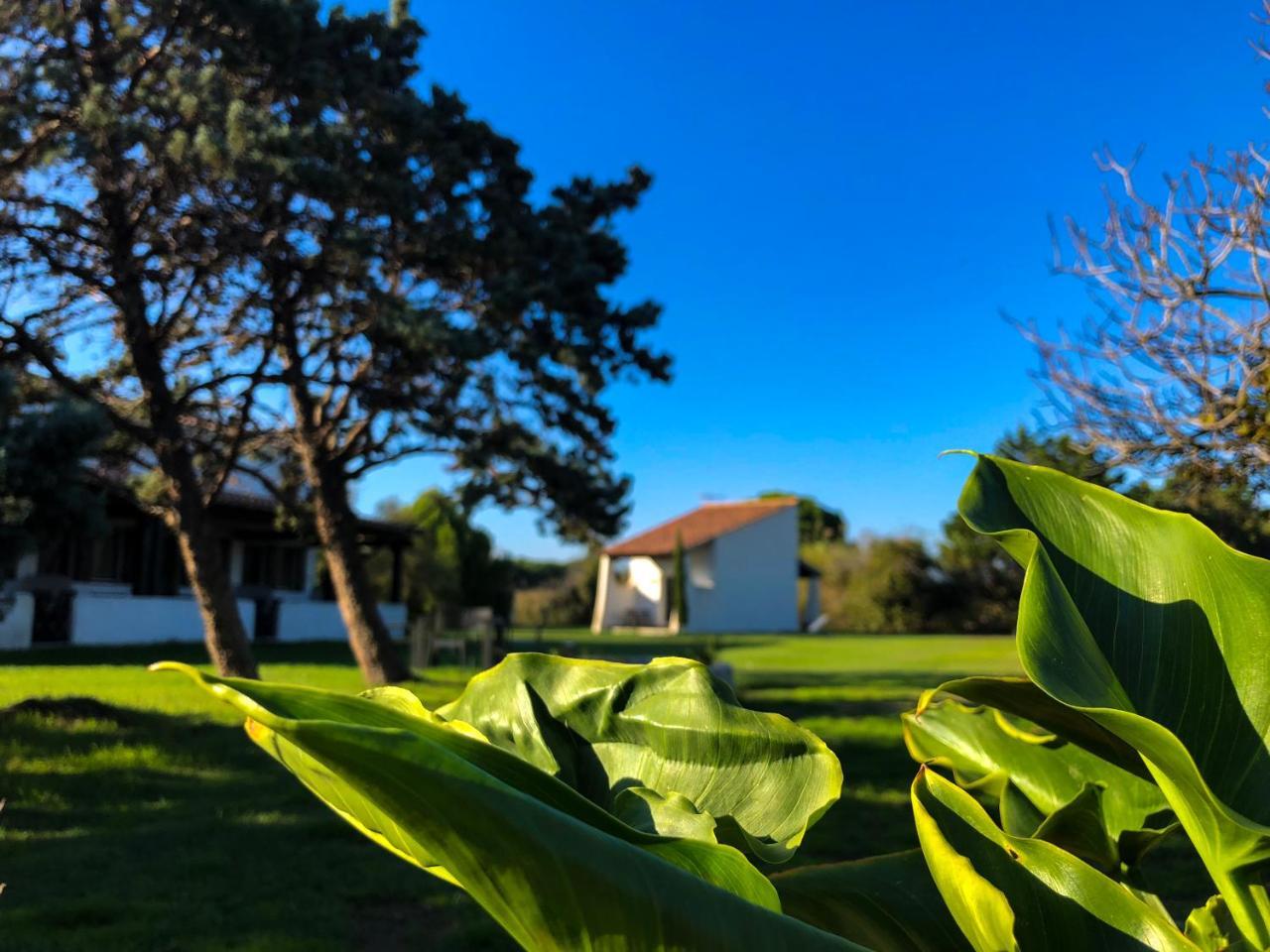 Mas Le Sauvageon Saintes-Maries-de-la-Mer Exterior foto